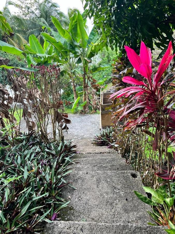 Casa Del Vega A Little Peace Of Heaven Hotel คาสทรีส ภายนอก รูปภาพ